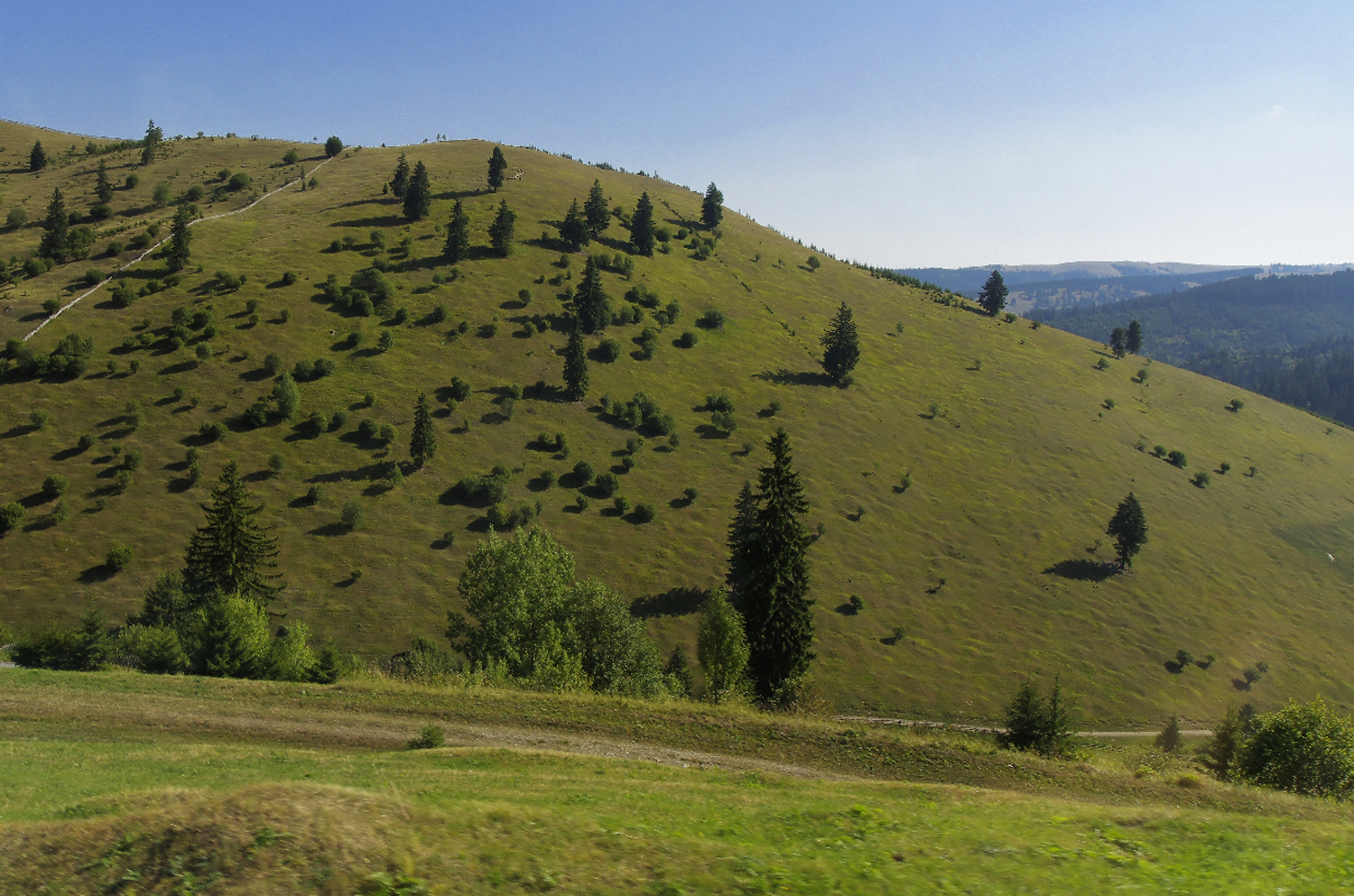 Sekler Landschaft