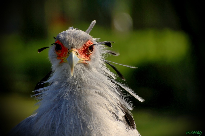 Sekretär