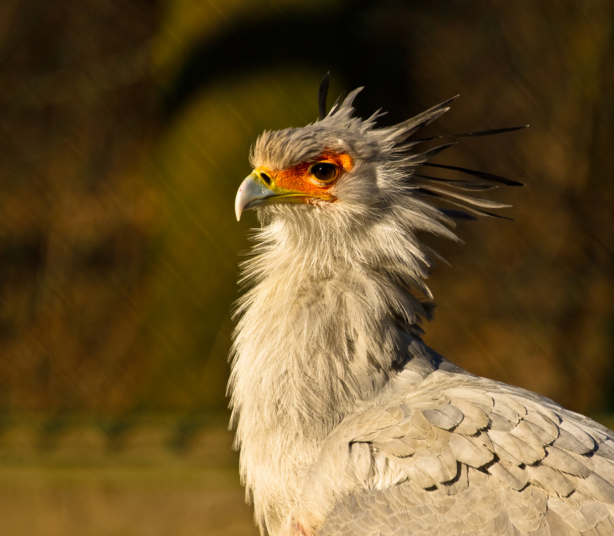 Sekretär