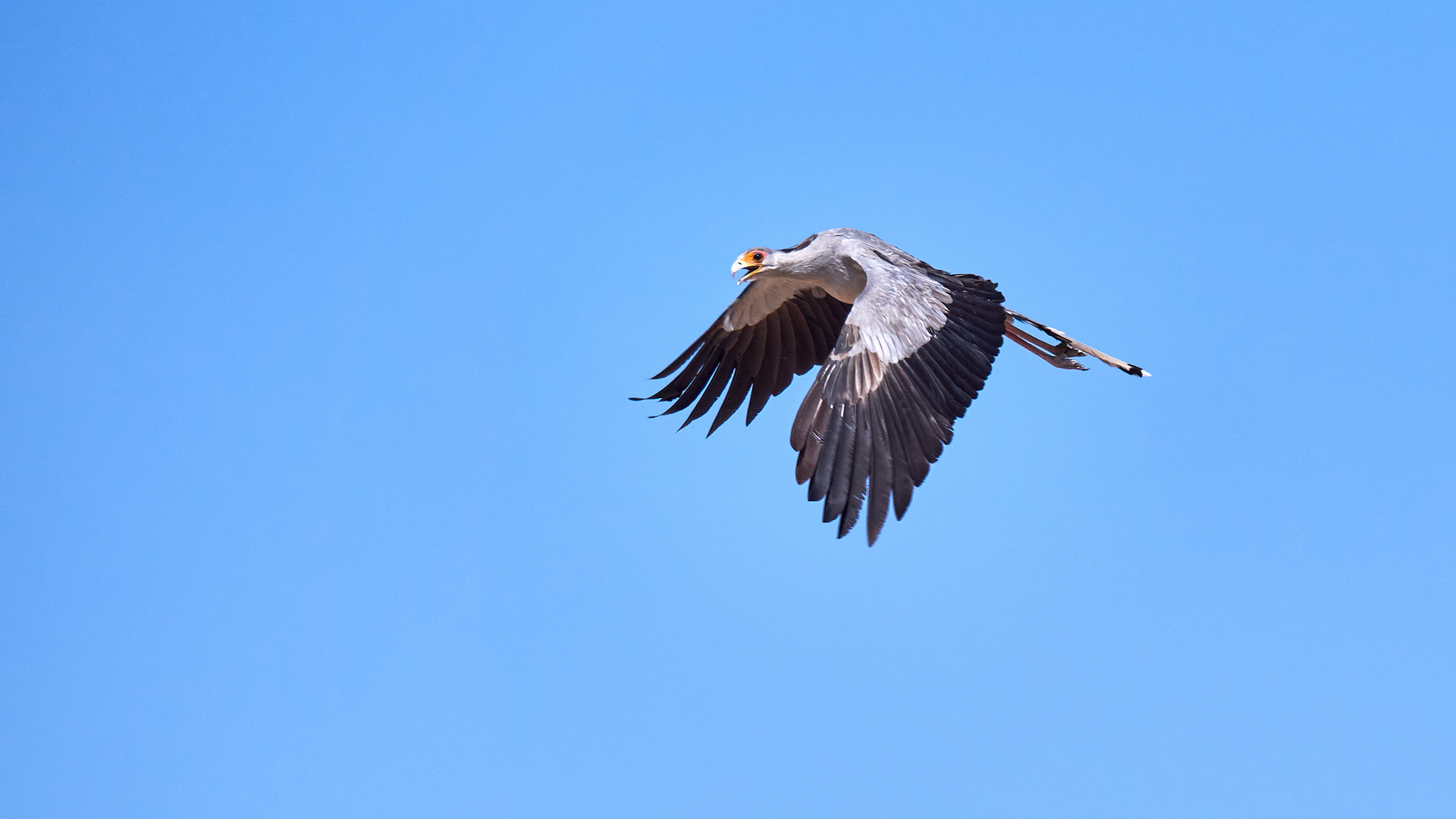 Sekretär im Anflug