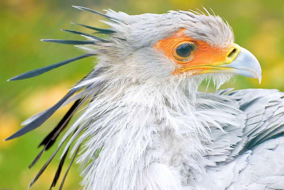 Sekretär oder etwa Sekretärin ?