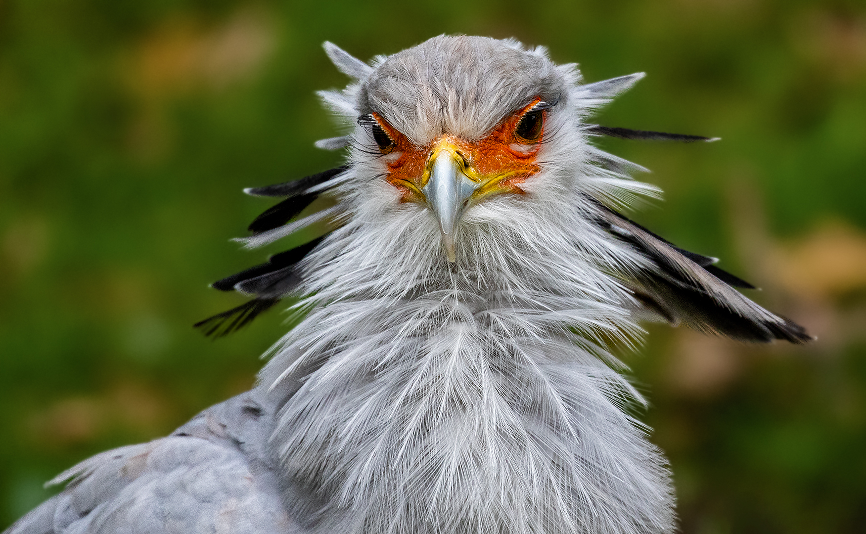 Sekretär-Portrait 002a 