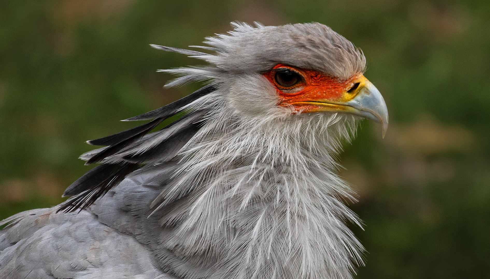 Sekretär-Portrait 011