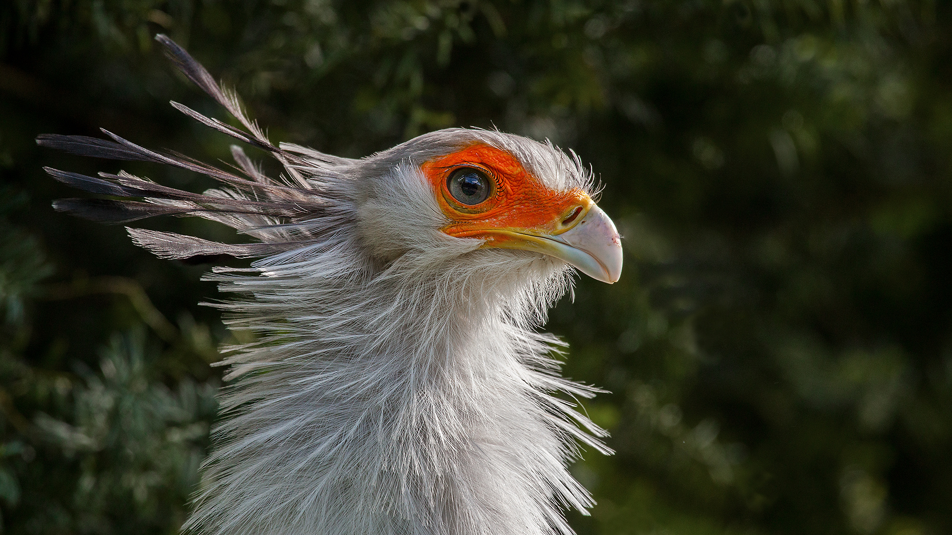 Sekretär-Portrait 015 