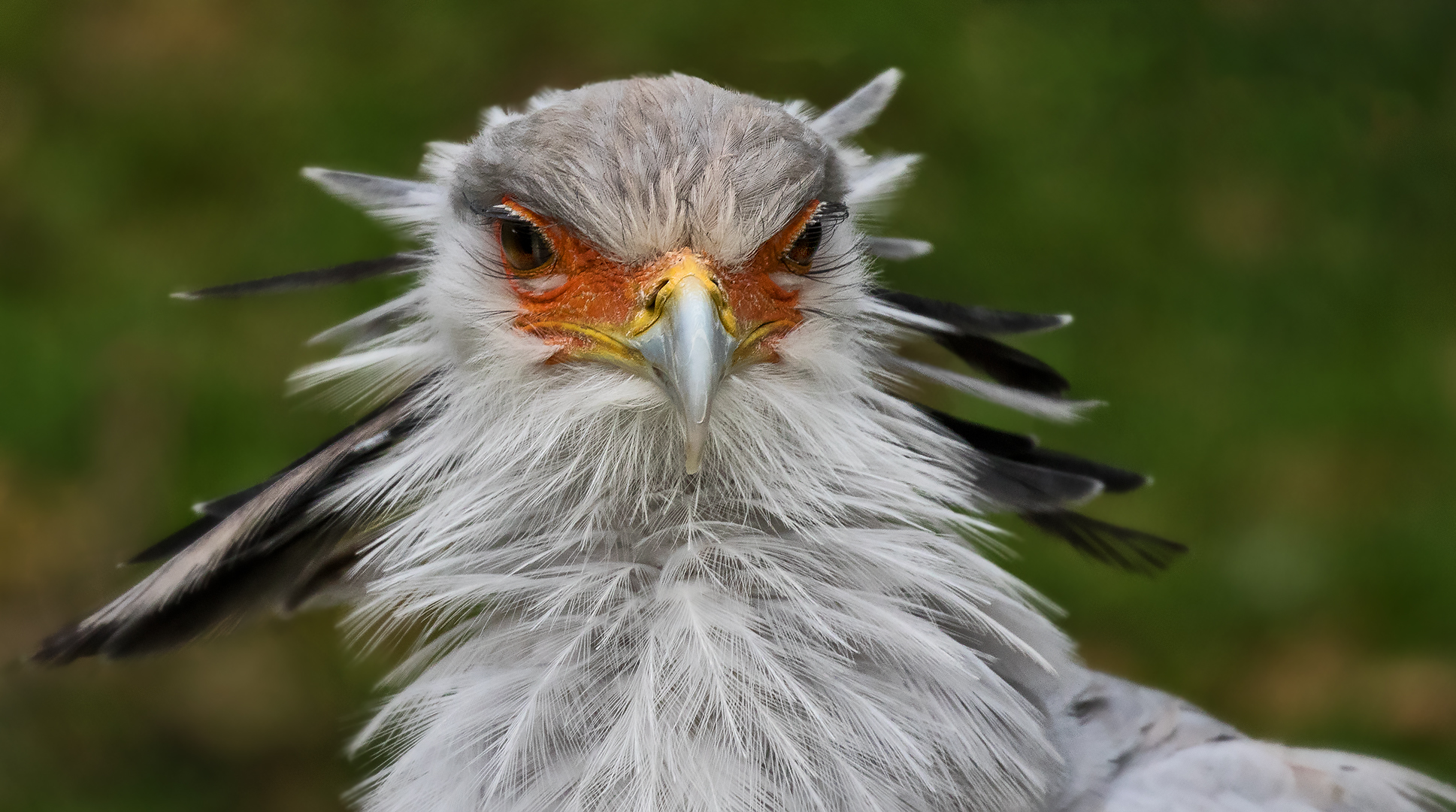 Sekretär-Portrait 