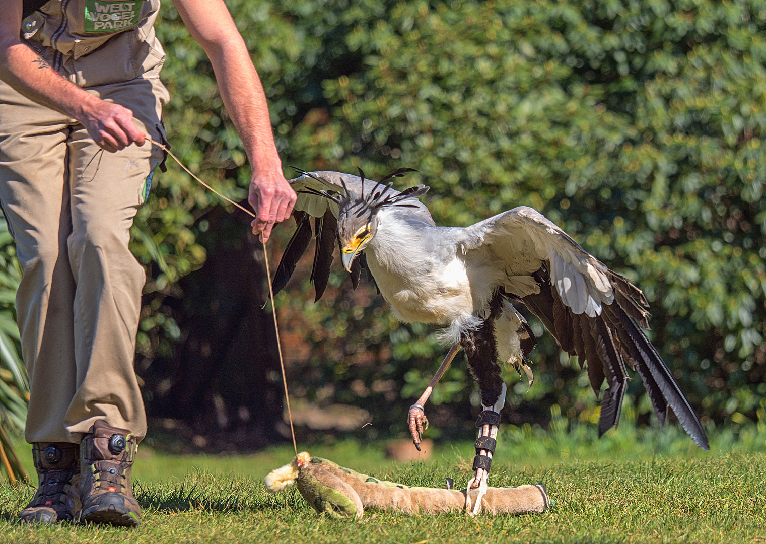 Sekretär Socke mit Beinprothese