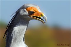 Sekretärportrait