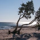 Sekt am Strand