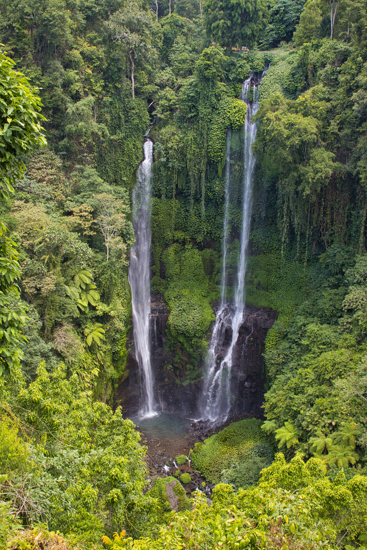 Sekumpul Waterfall Bali