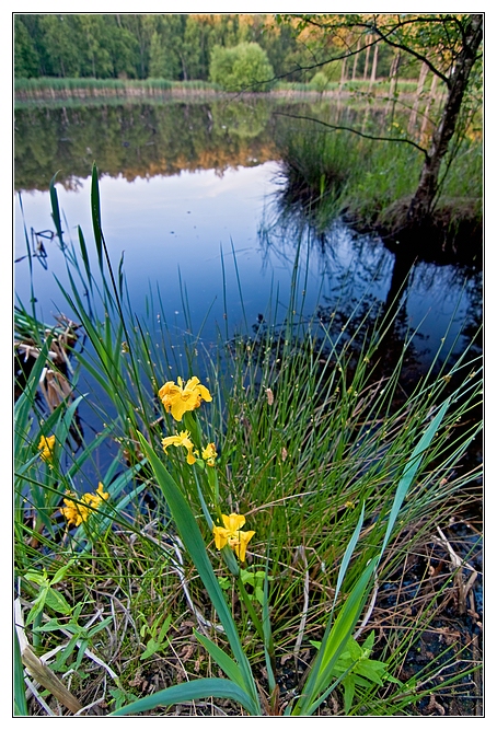 Sekundärnatur