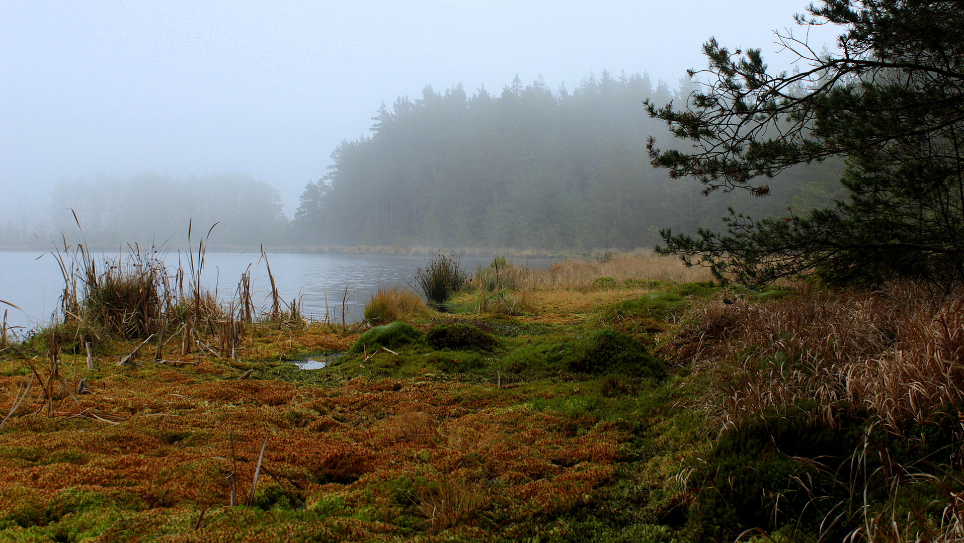 Selb am Wunsiedler Weiher im November 2014