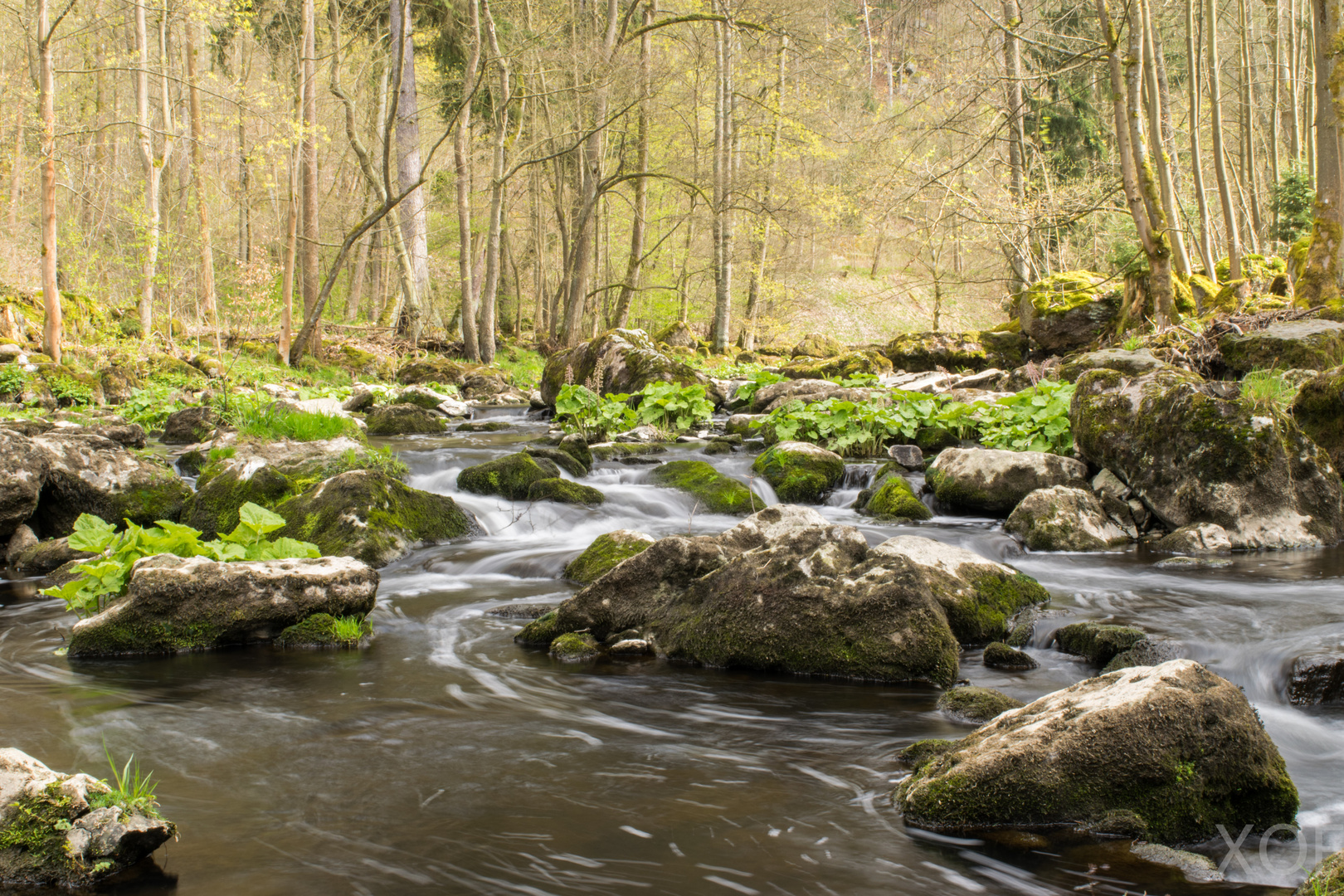 Selbitz im Höllental