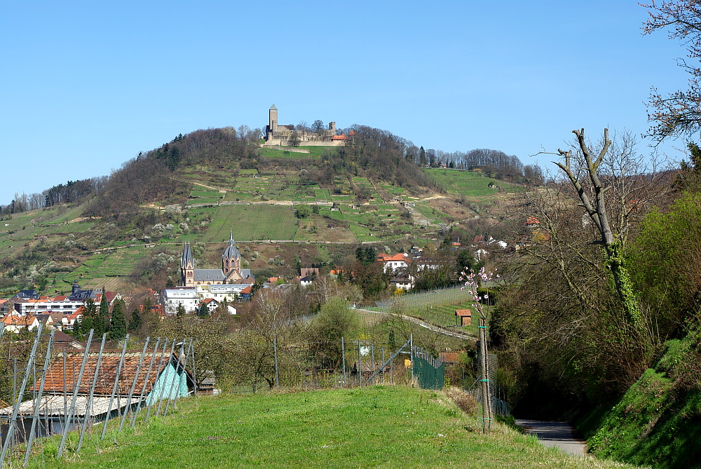 Selbst an der Bergstraße...