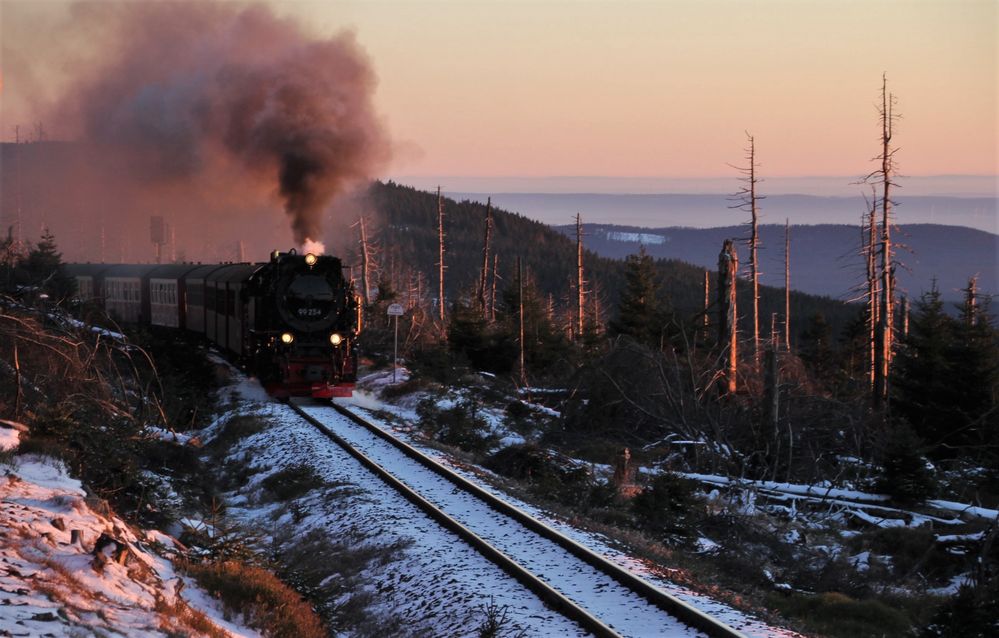 selbst auf dem Abstellgleis. Foto & Bild | eisenbahn, harz