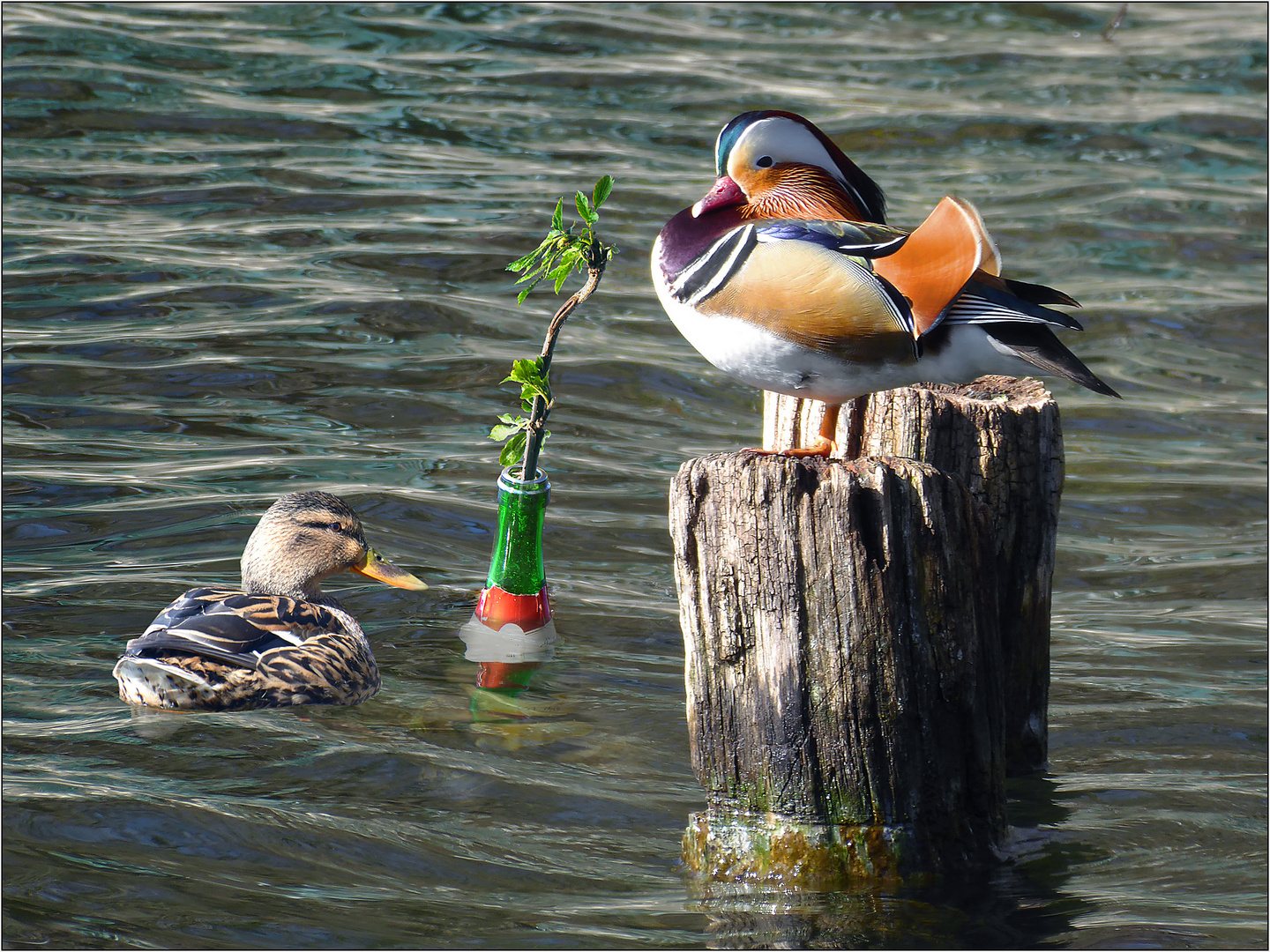 Selbst auf der kleinsten Insel ...