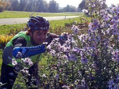 Selbst beim Radfahren kann sie es nicht lassen