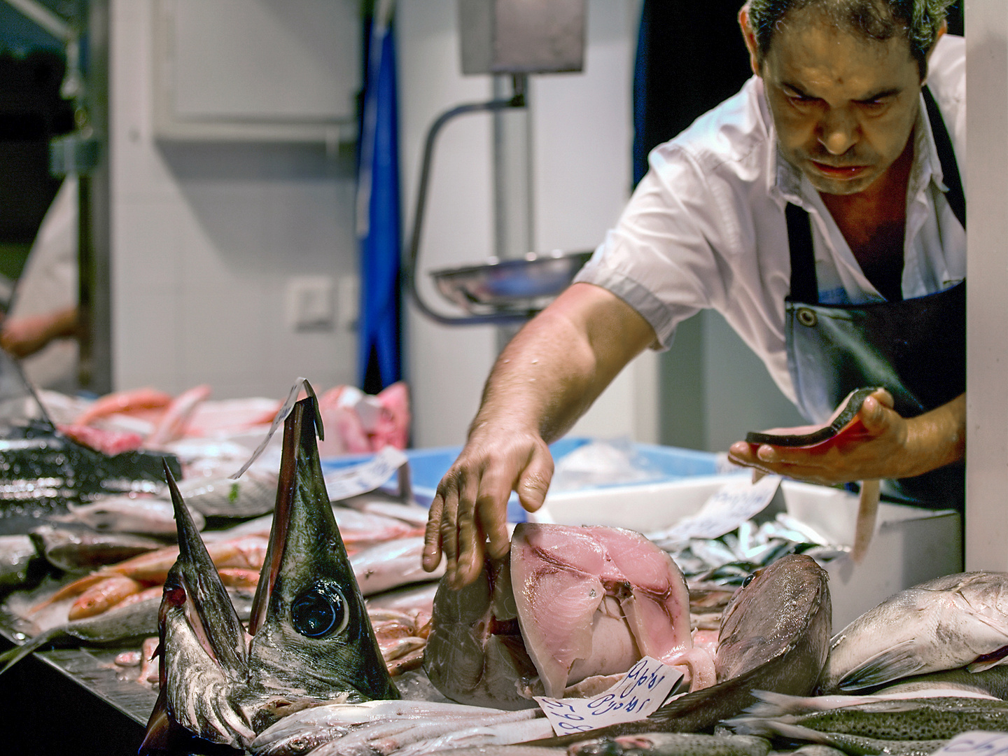 Selbst der Fisch würde nicht gefangen, wenn er sein Maul hielte. Sprichwort aus den USA