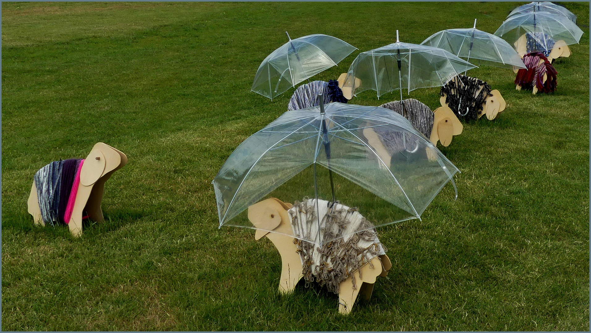 Selbst die Schafe brauchen in diesen Zeiten einen Regenschirm.