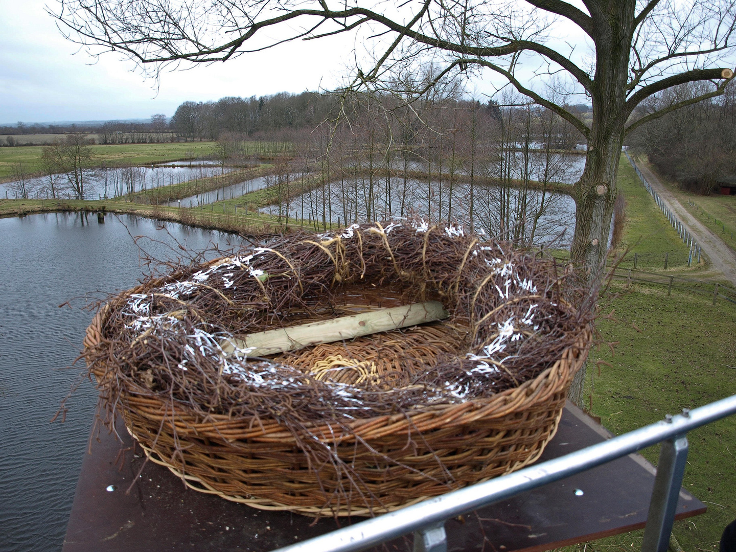 Selbst ein Storch braucht eine Kinderstube