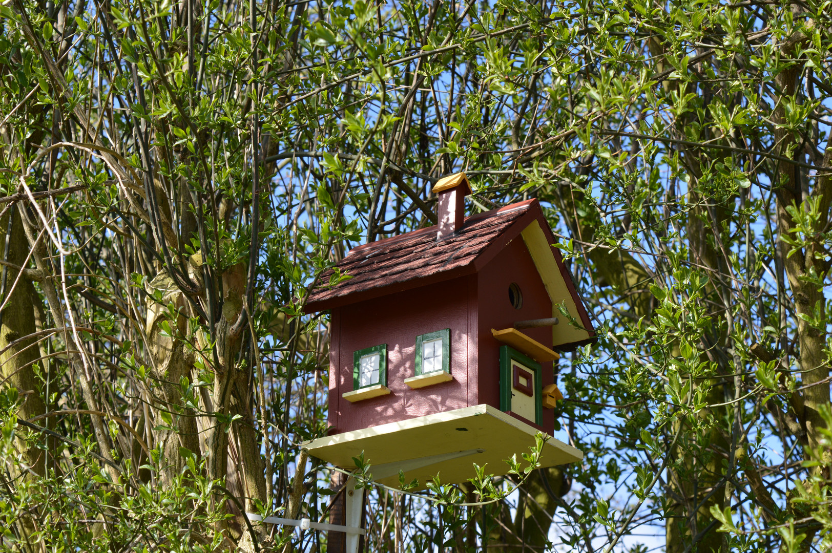 selbst gebasteltes vogelhaus