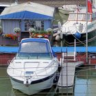 Selbst im Kölner Rheinauhafen dürfen Blumen nicht fehlen