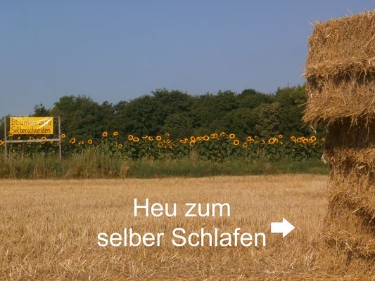 Selbst ist der Mann und die Frau