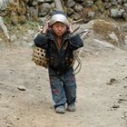 Selbst Kinder tragen im Khumbu schwere Lasten