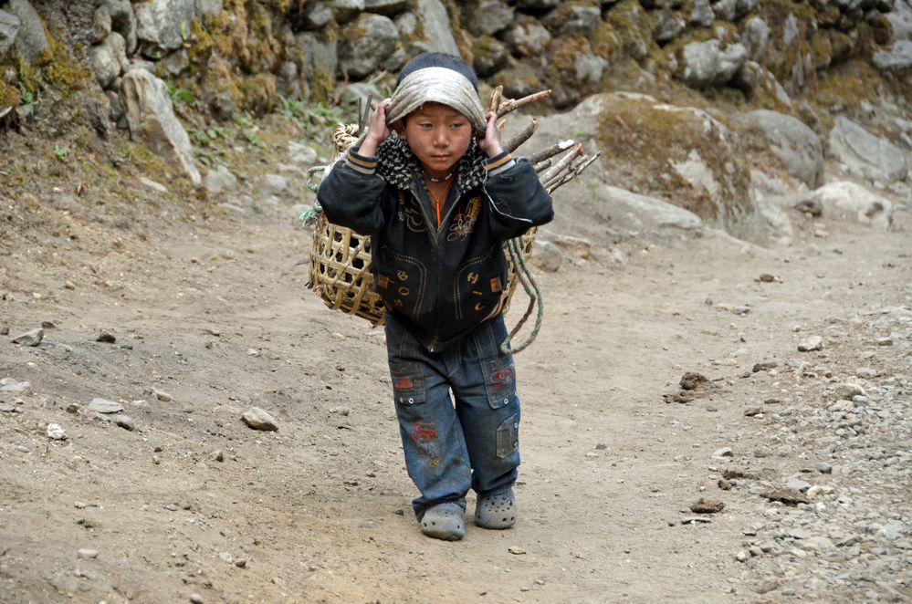 Selbst Kinder tragen im Khumbu schwere Lasten