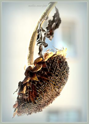 Selbstbedienungstheke für Fluggäste