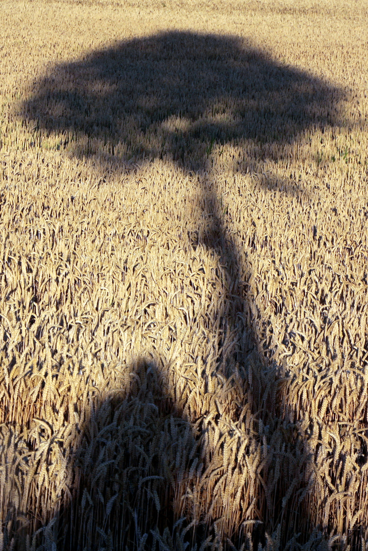 Selbstbildnis mit Baum