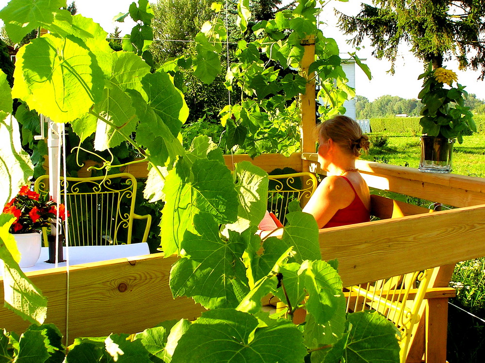 Selbstgebauter Wohntraum im Garten...