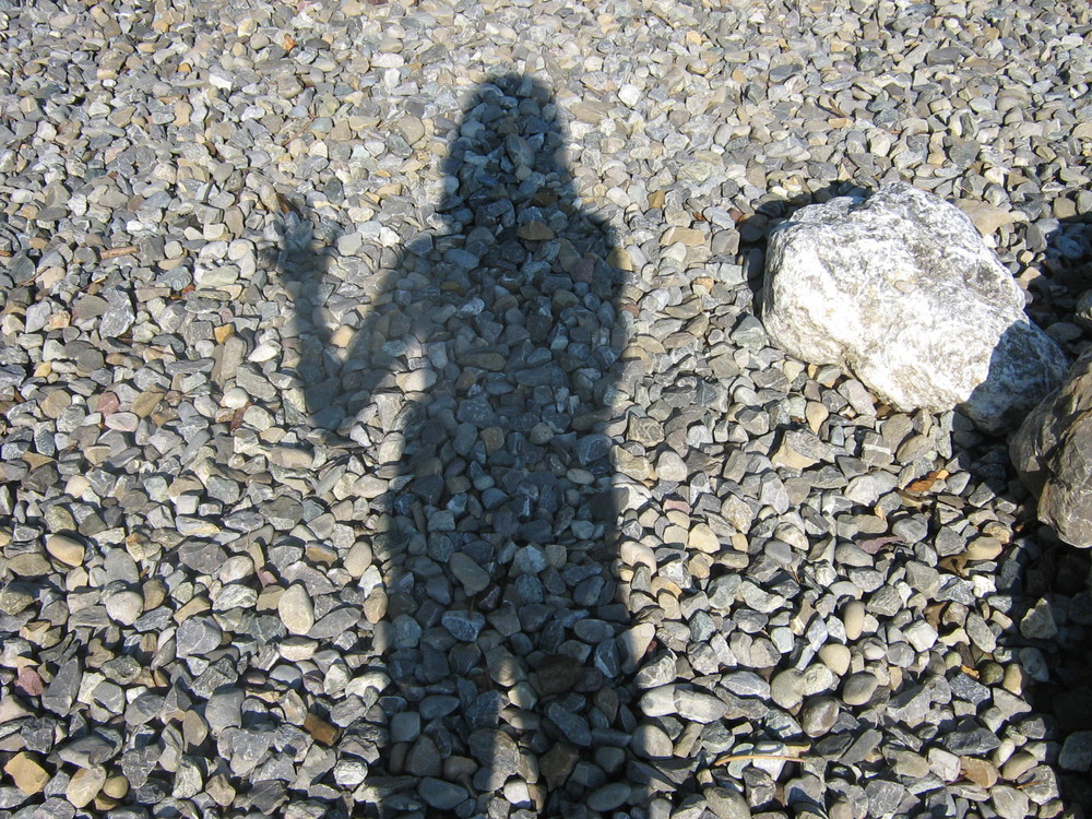 Selbstportait im Schatten