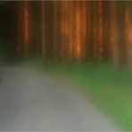 Selbstportrait im Wald
