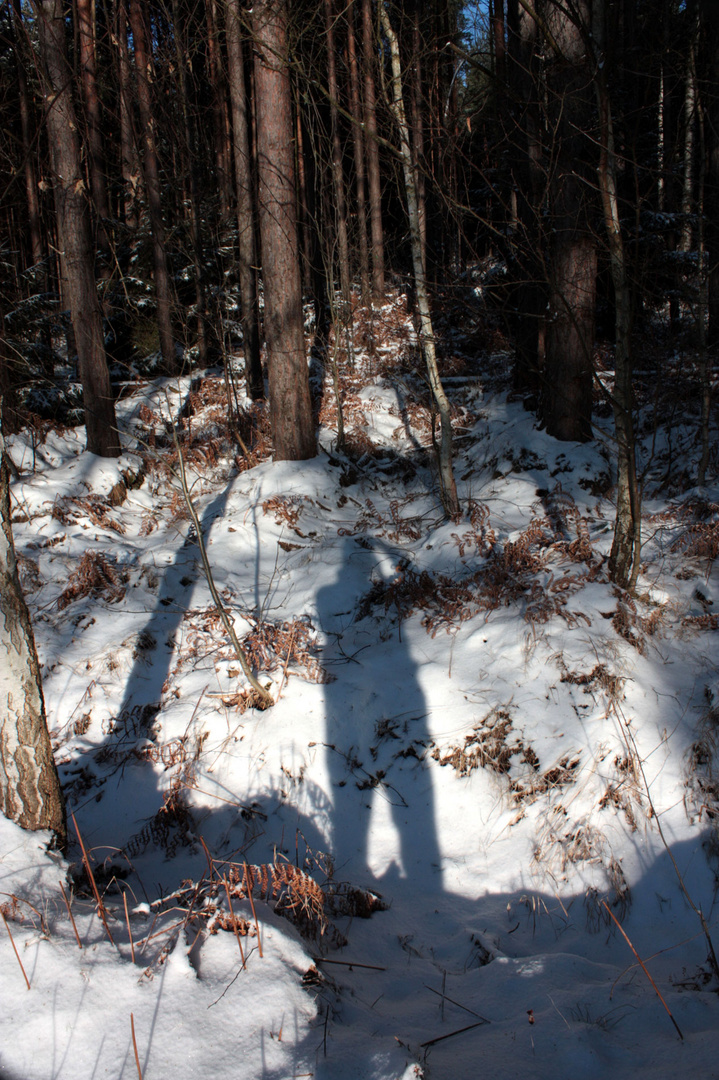 Selbstportrait im Winterwald