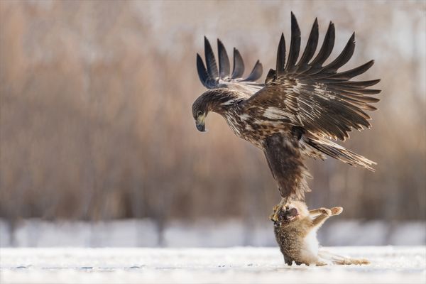 Selbstüberschätzung