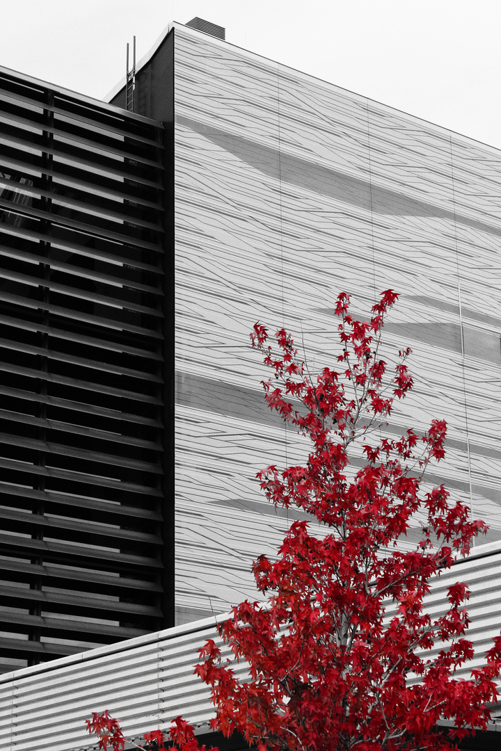 Selective Color