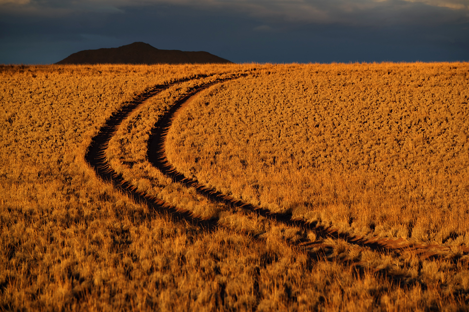 Selektion Namibia 2014 – 3