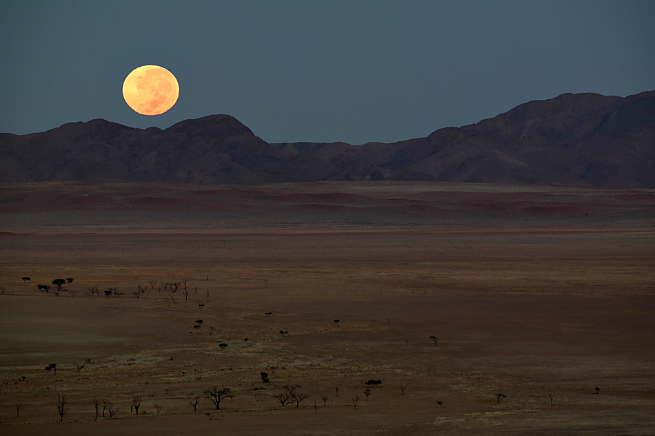 Selektion Namibia 2014 – 4