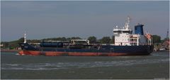 SELENKA / Oil/chemical Tanker / Nieuwe Waterweg / Rotterdam