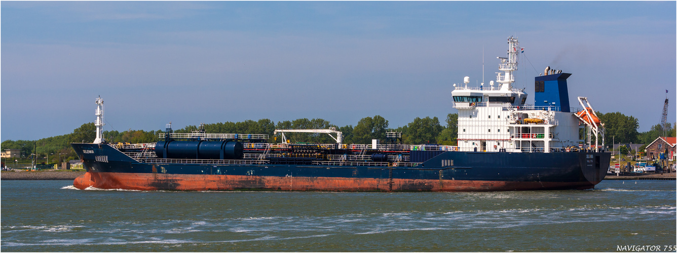 SELENKA / Oil/Chemical Tanker / Rotterdam