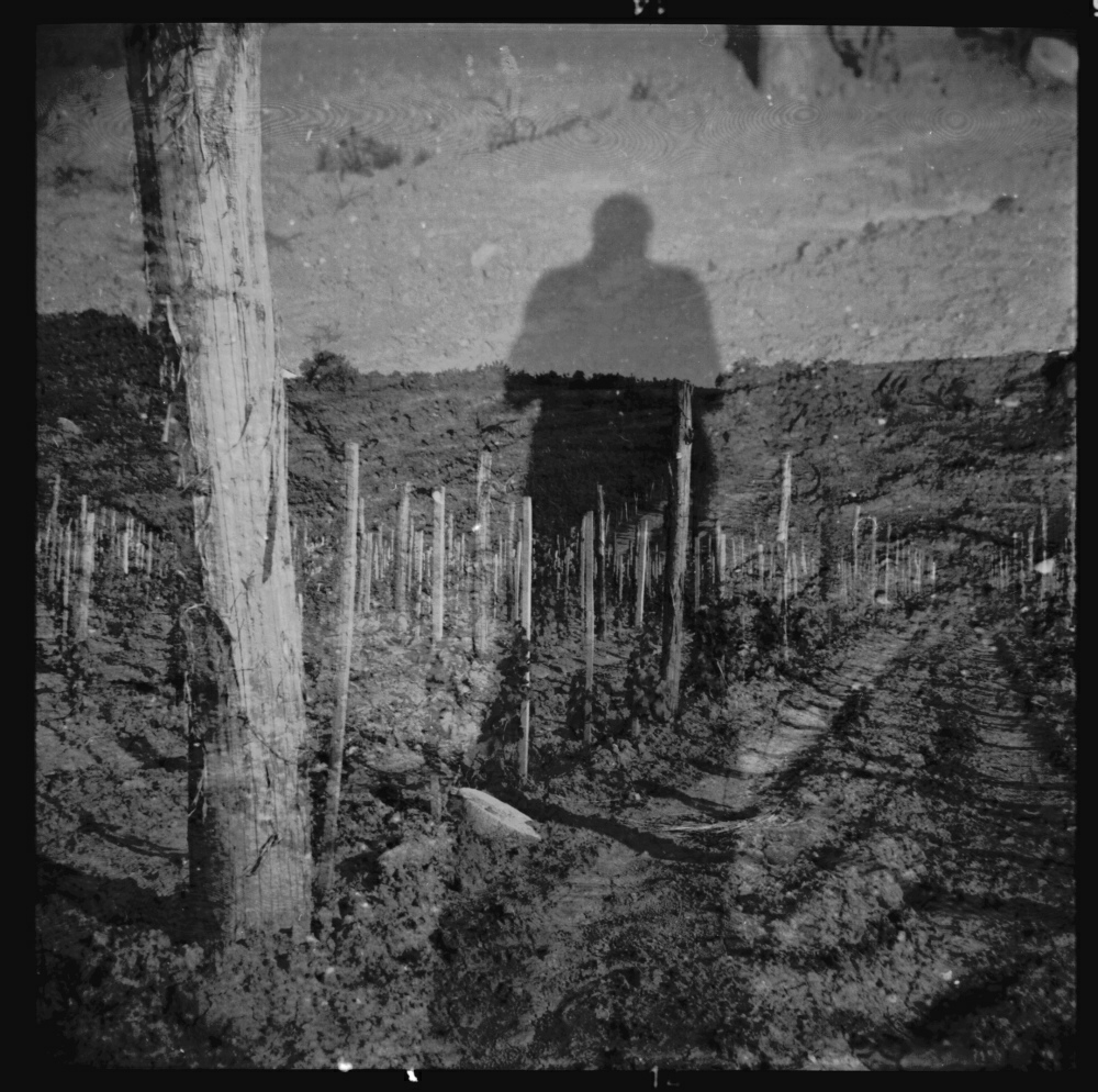 Self in the Vineyards