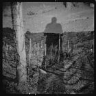 Self in the Vineyards