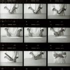 Self Portraits (Contact Sheet)