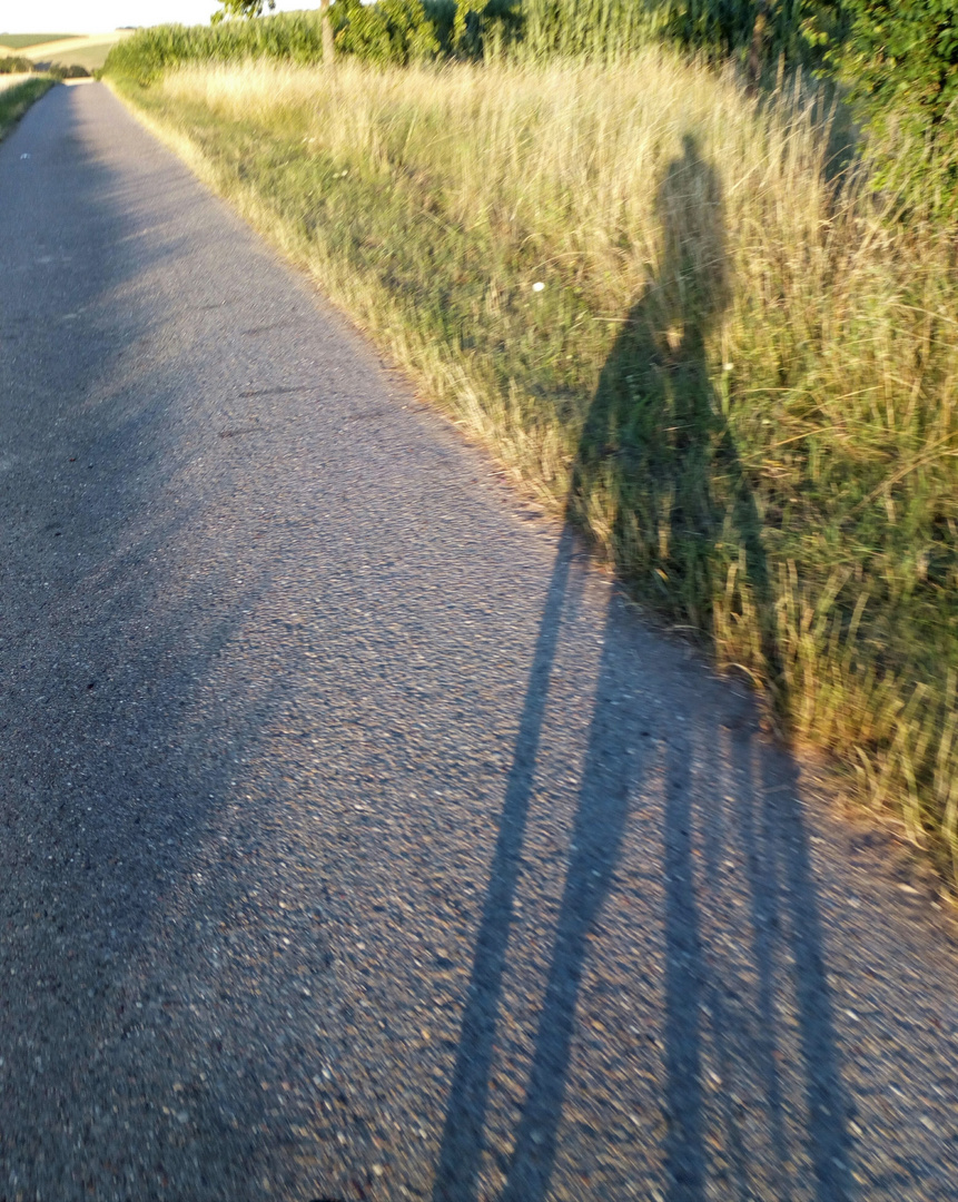 Selfie mit dem Fahrrad