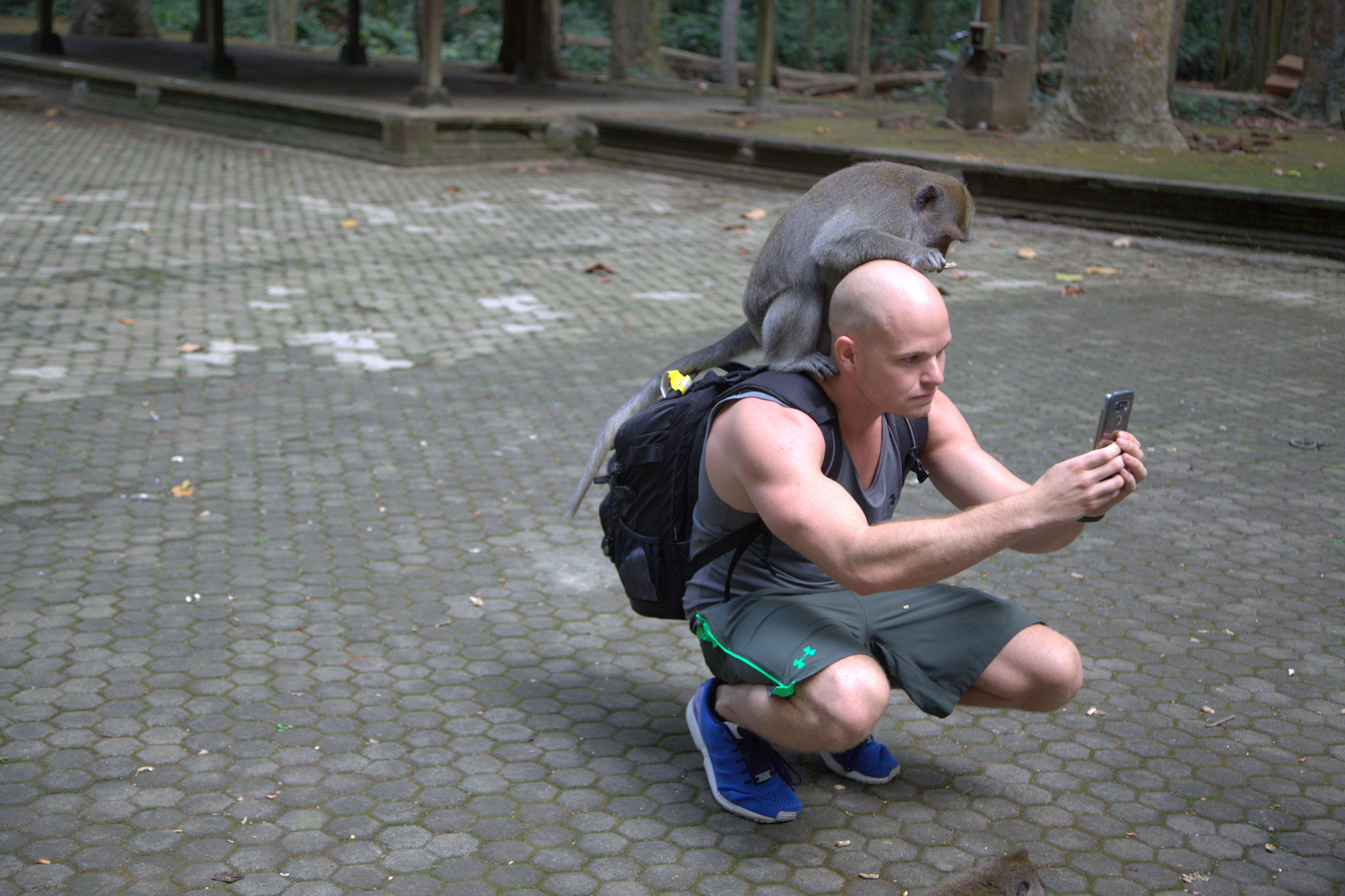 Selfie mit einem Affen