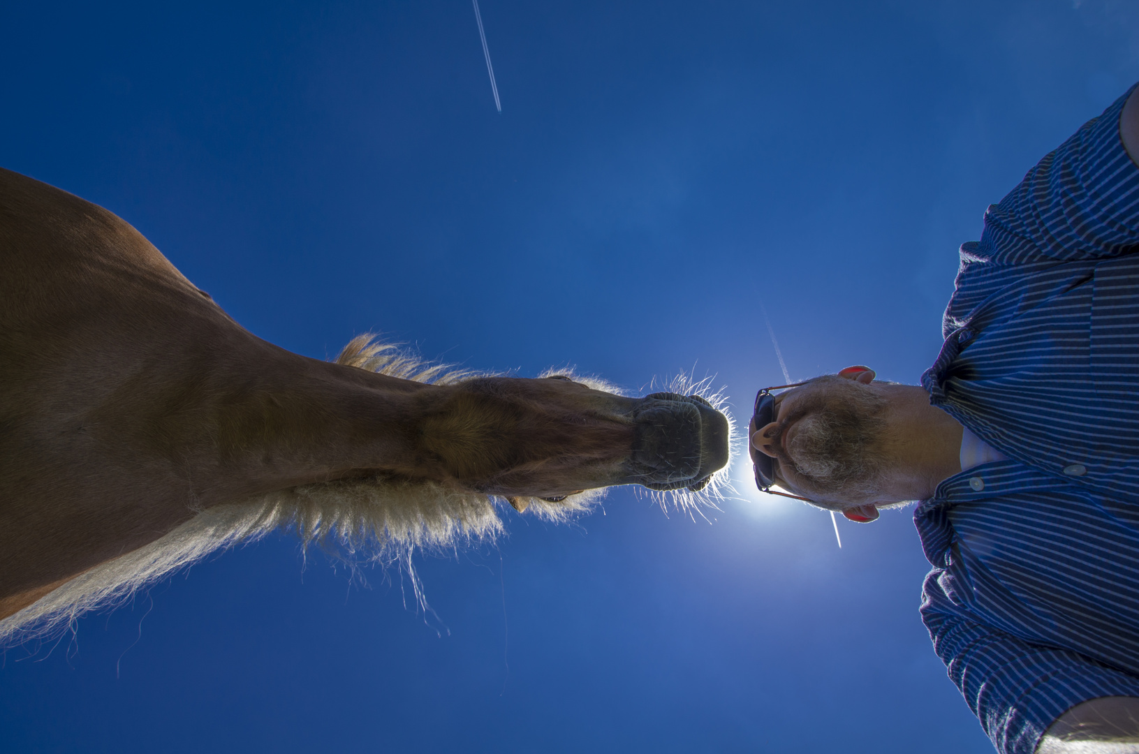 Selfie mit Flugzeugen und einem Pony