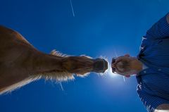 Selfie mit Flugzeugen und einem Pony