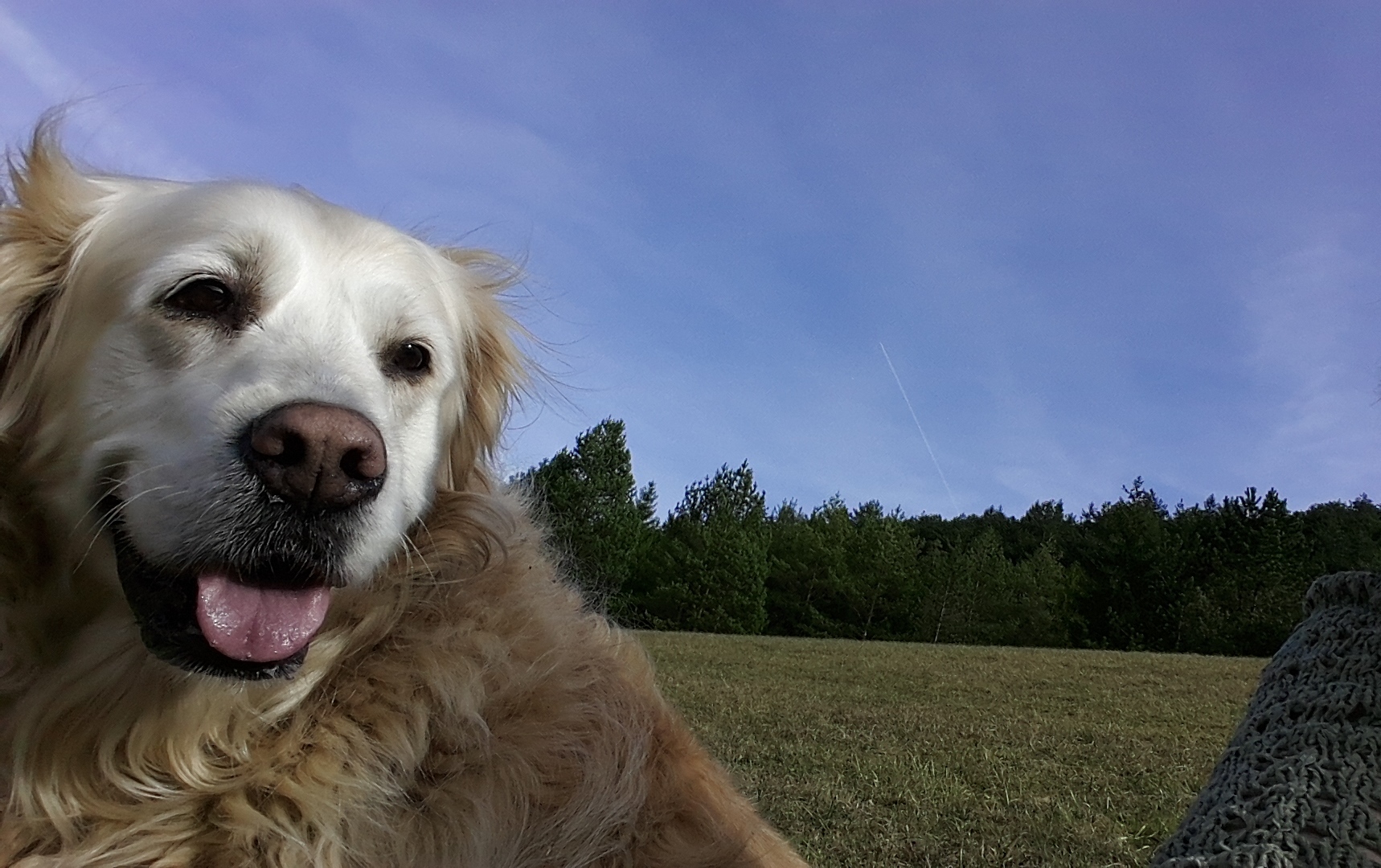 'Selfie' mit Kira