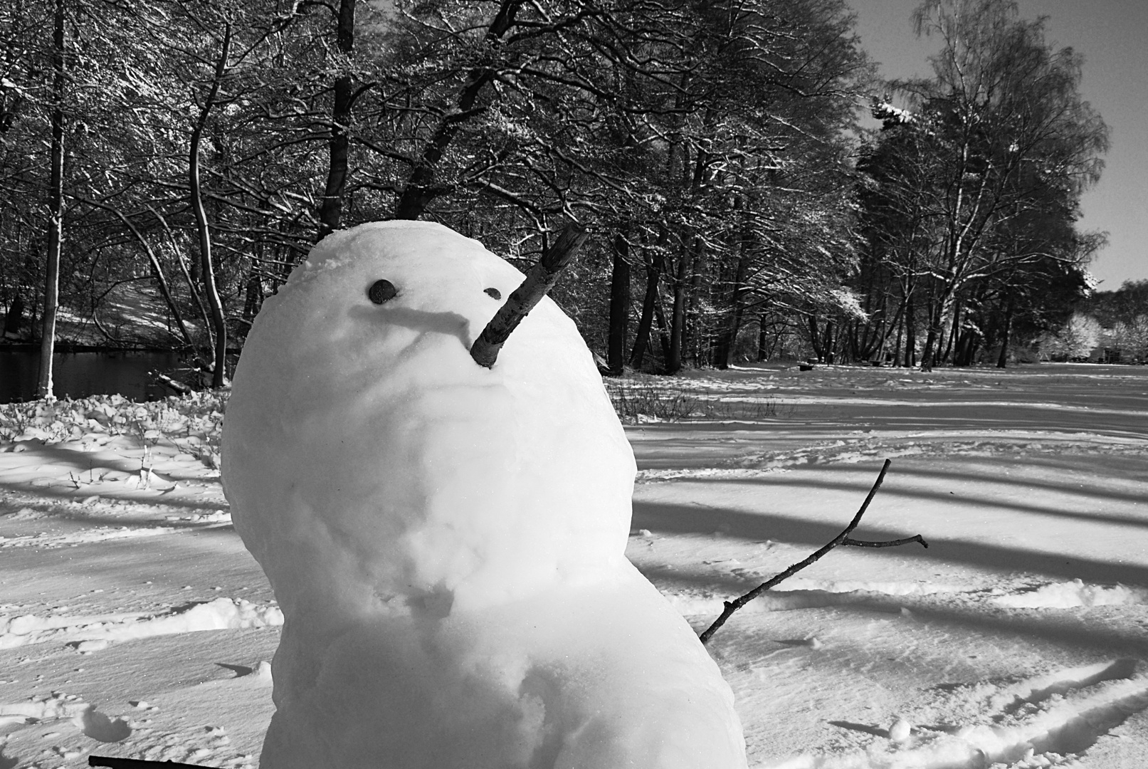 Selfie mit Wald..