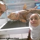 Selfie von Prof.Dr. Norman Khalaf und Tochter Nora mit Komoren-Quastenflosser in Kuwait